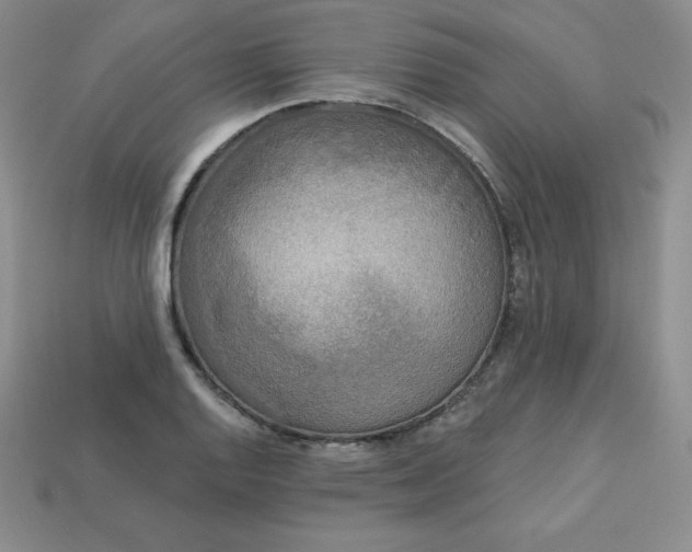 X0000113921128200910090931