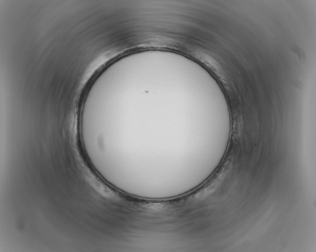 X0000113921130200910090931