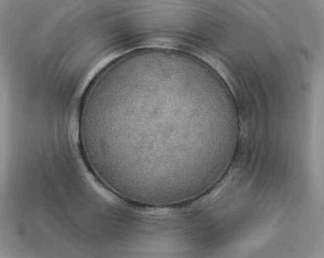 X0000113921131200910090931
