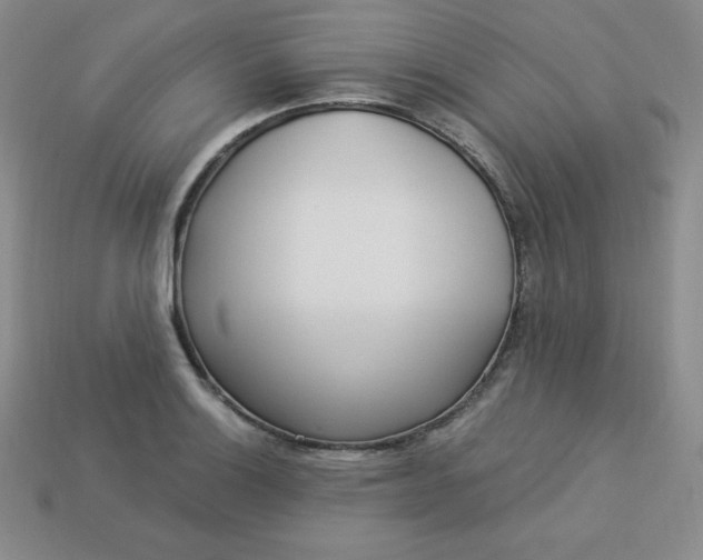 X0000113921132200910090931