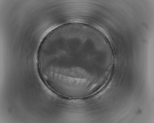 X0000113921133200910090931