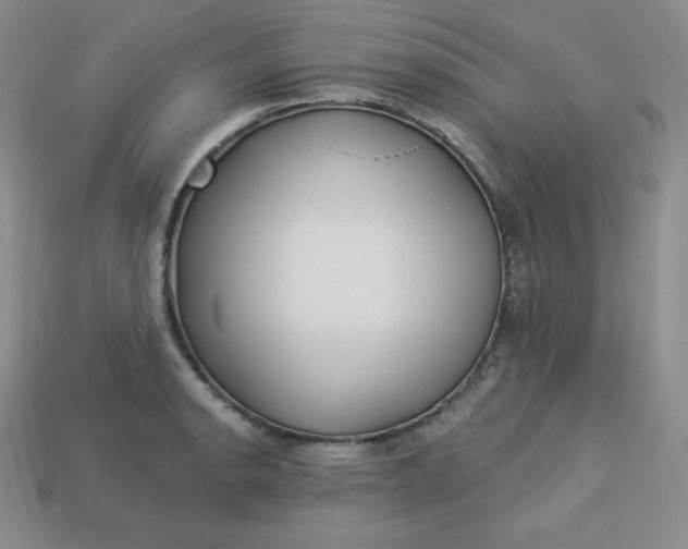 X0000113921134200910090931