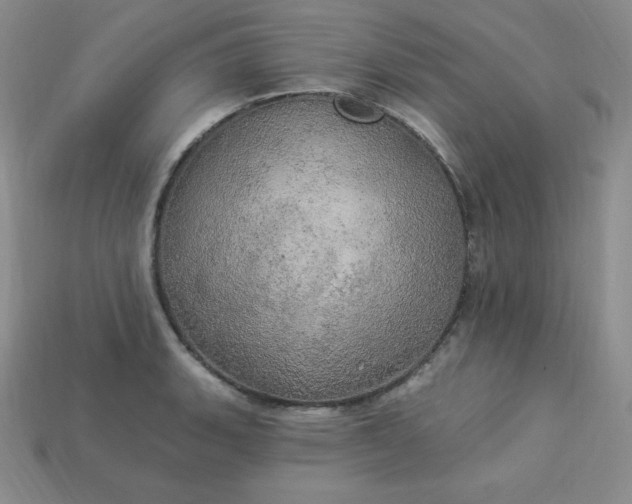 X0000113921135200910090931