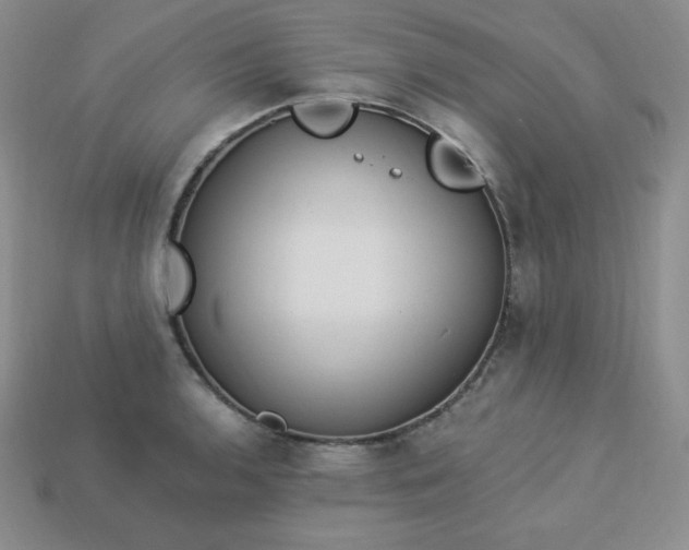 X0000113921136200910090931