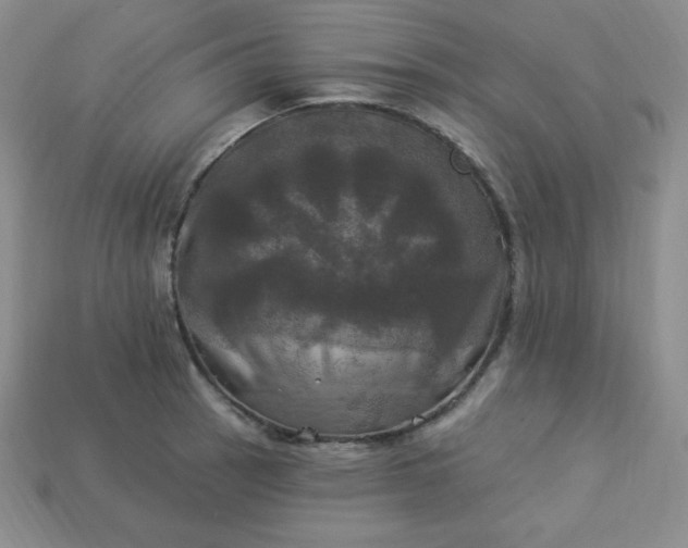 X0000113921137200910090931