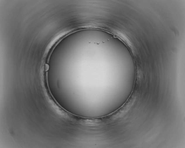 X0000113921138200910090931