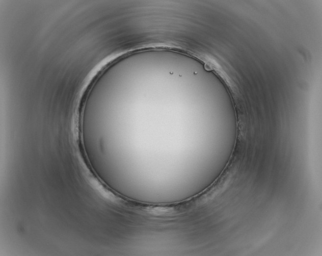 X0000113921140200910090931