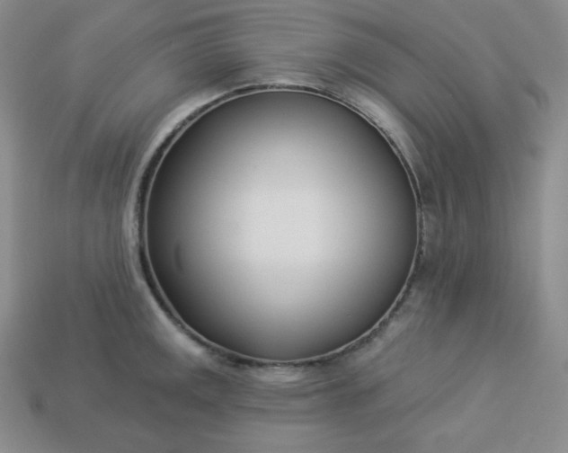 X0000113921141200910090931