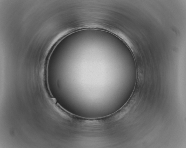 X0000113921142200910090931