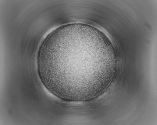 X0000113921143200910090931
