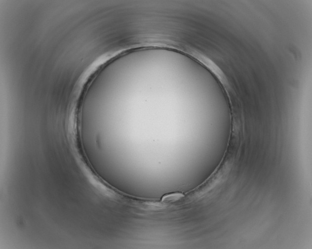 X0000113921144200910090931