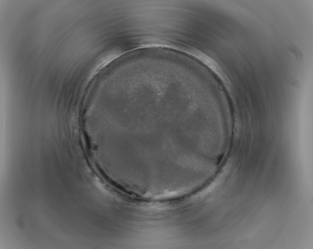 X0000113921145200910090931