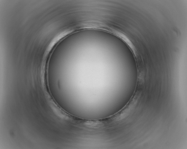 X0000113921146200910090931