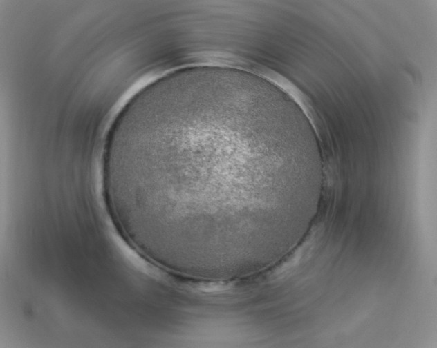 X0000113921147200910090931