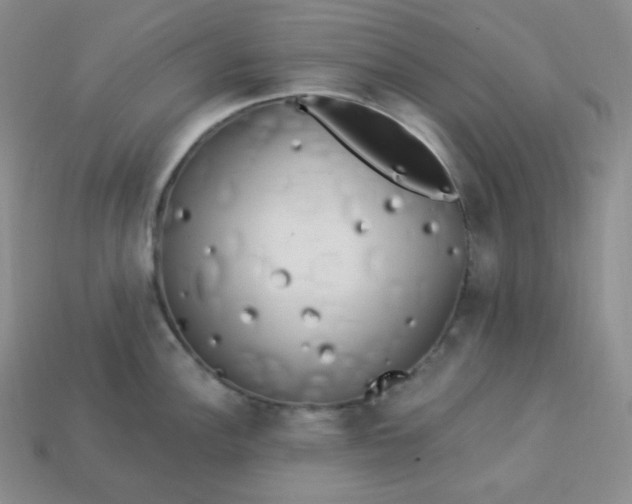 X0000113921148200910090931