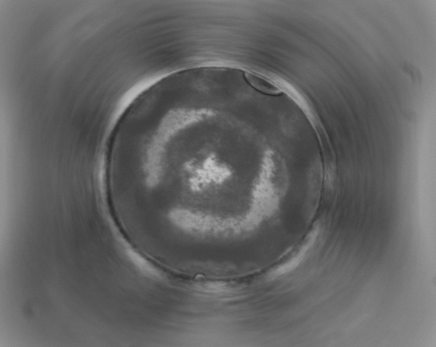 X0000113921149200910090931