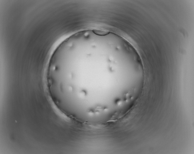 X0000113921152200910090931