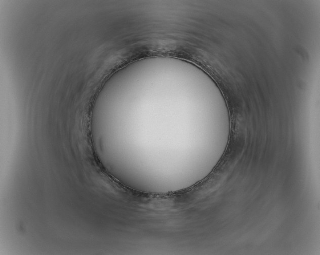 X0000113921153200910090930