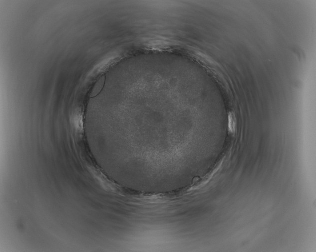 X0000113921155200910090930