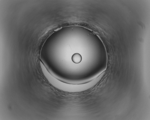 X0000113921157200910090930
