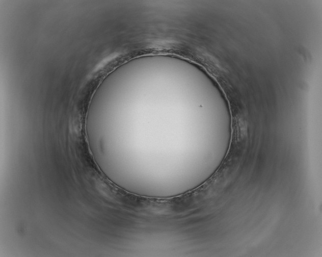 X0000113921158200910090930