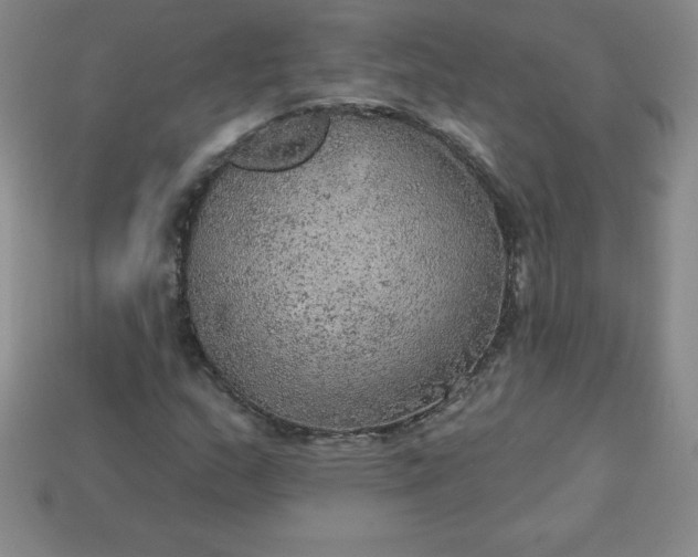 X0000113921159200910090930