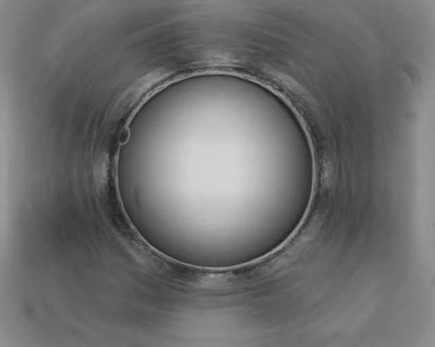 X0000113921161200910090930