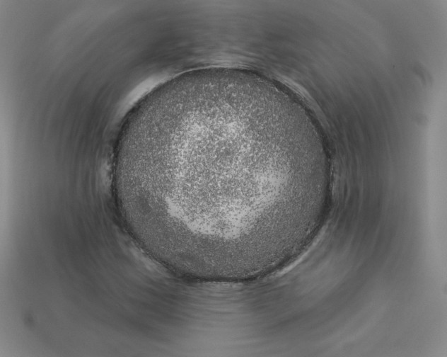 X0000113921163200910090930