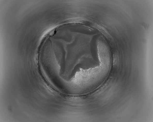 X0000113921164200910090930