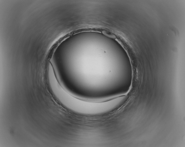 X0000113921165200910090930