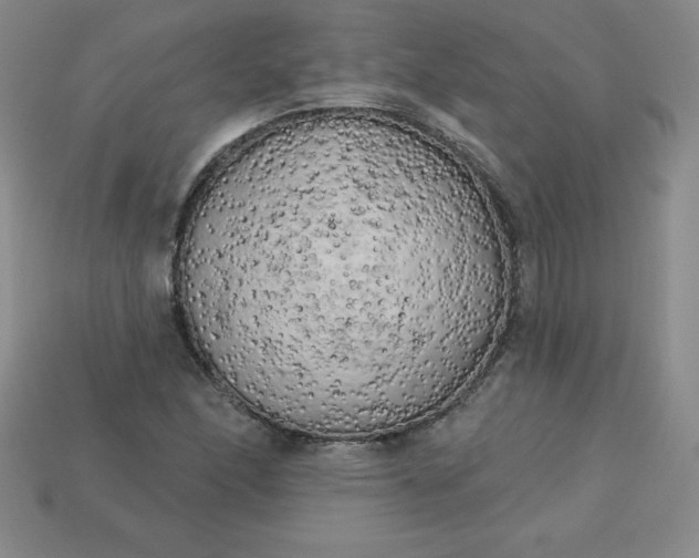 X0000113921166200910090930