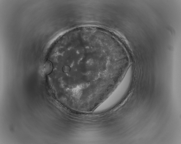 X0000113921167200910090930