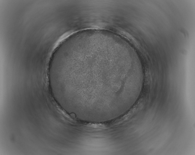 X0000113921168200910090930