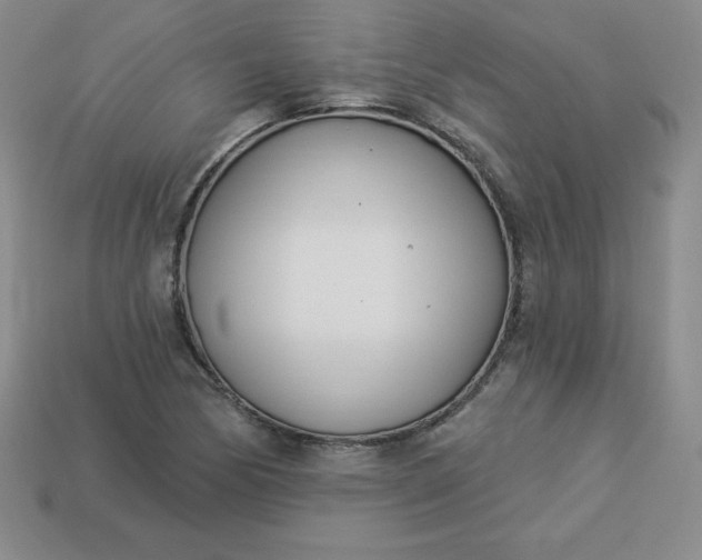 X0000113921170200910090930