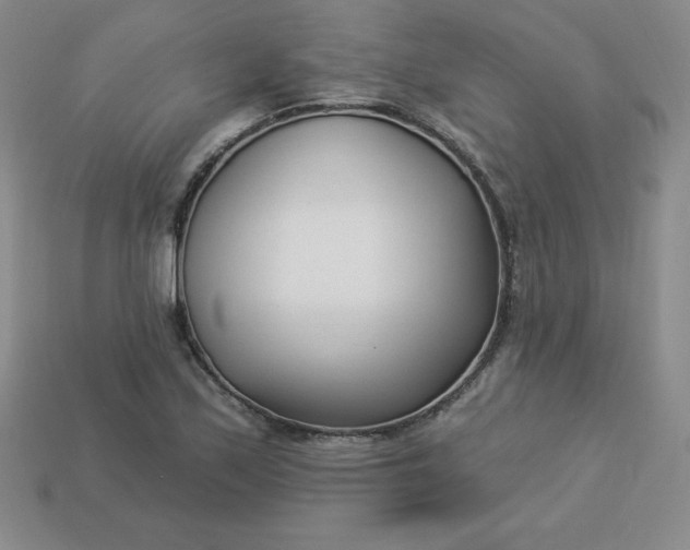 X0000113921171200910090930