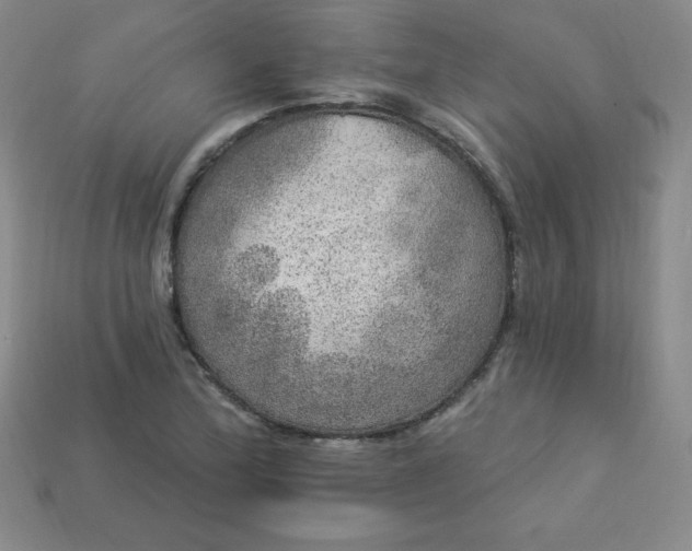 X0000113921172200910090930