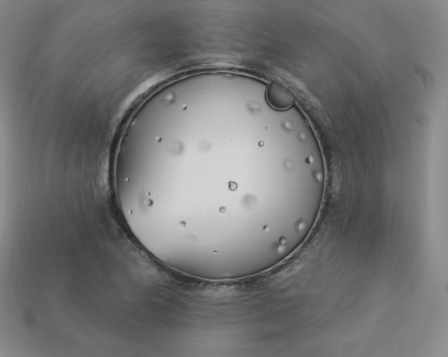 X0000113921174200910090930