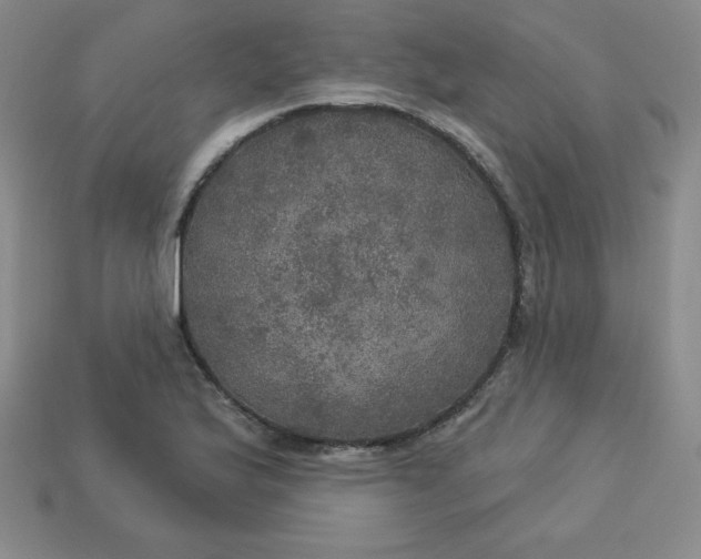 X0000113921175200910090930