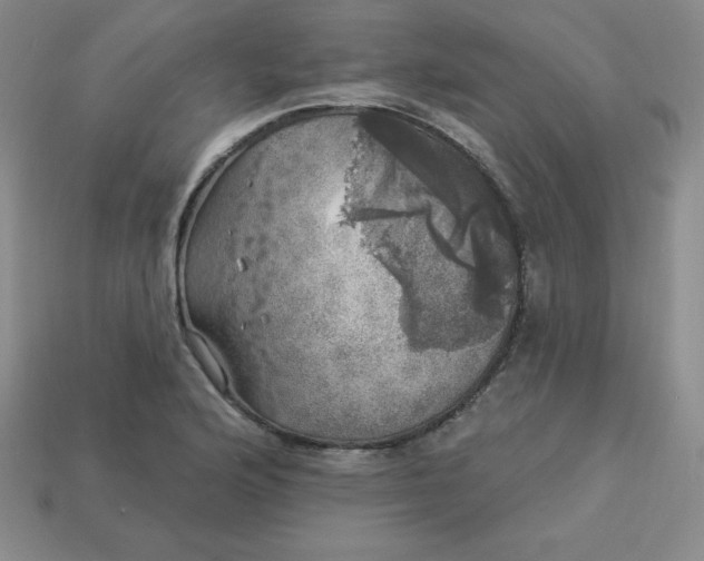 X0000113921176200910090930