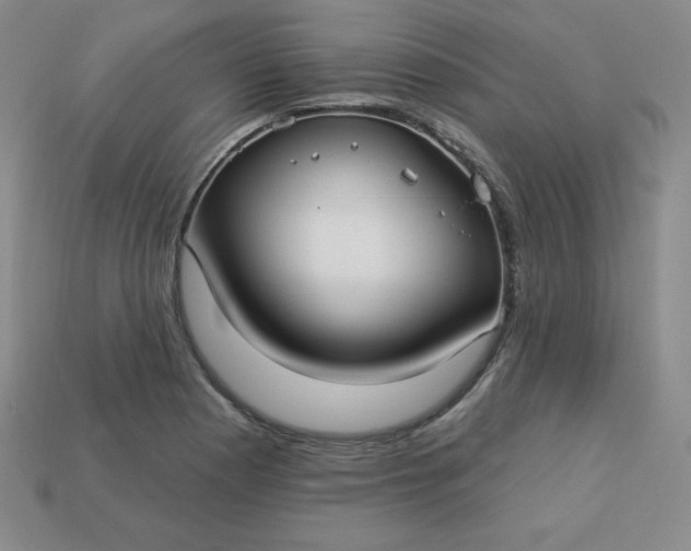 X0000113921177200910090930