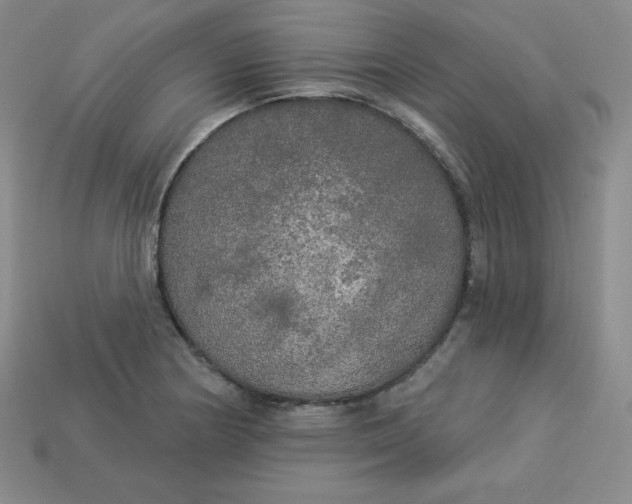 X0000113921178200910090930