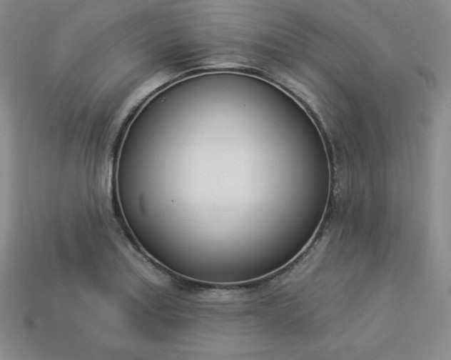 X0000113921179200910090930