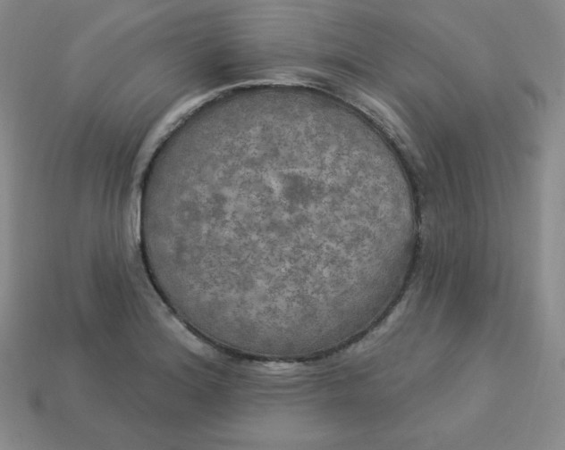X0000113921180200910090930