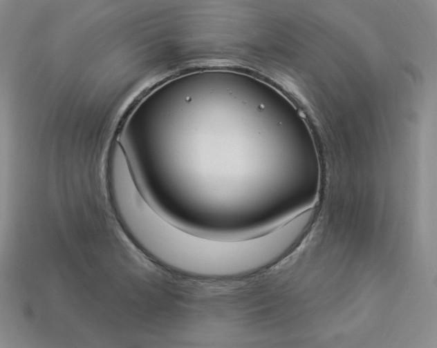 X0000113921181200910090930