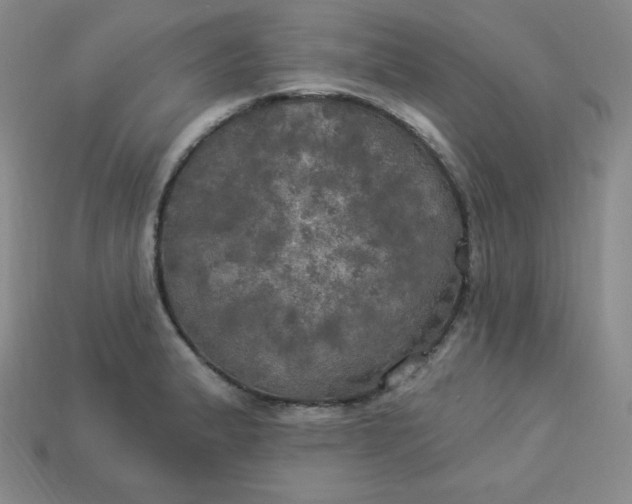 X0000113921183200910090930