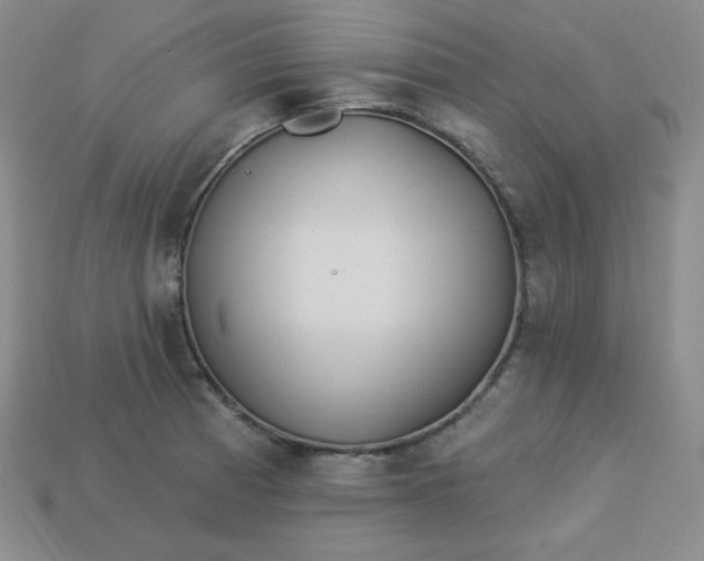 X0000113921185200910090930