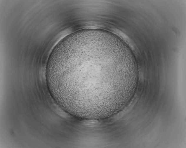 X0000113921186200910090930