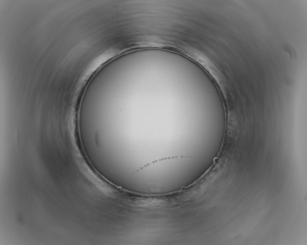 X0000113921187200910090930