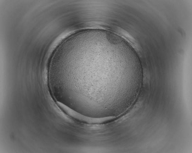 X0000113921188200910090930