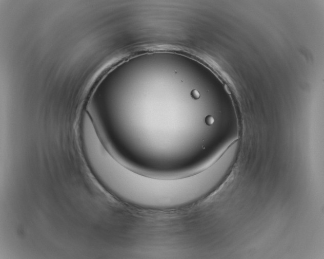 X0000113921189200910090930